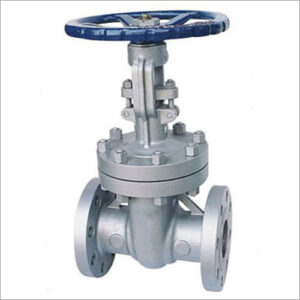 Motorised Gate Valve