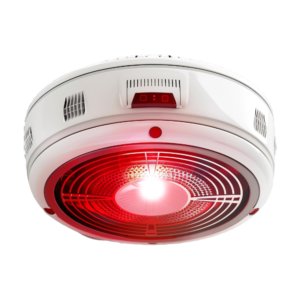 Flammable Gas Detectors