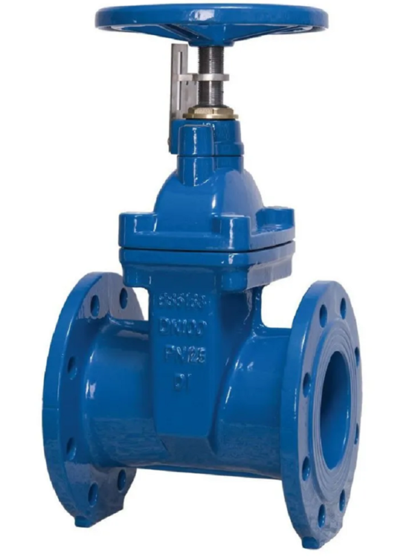 Sluice Valve