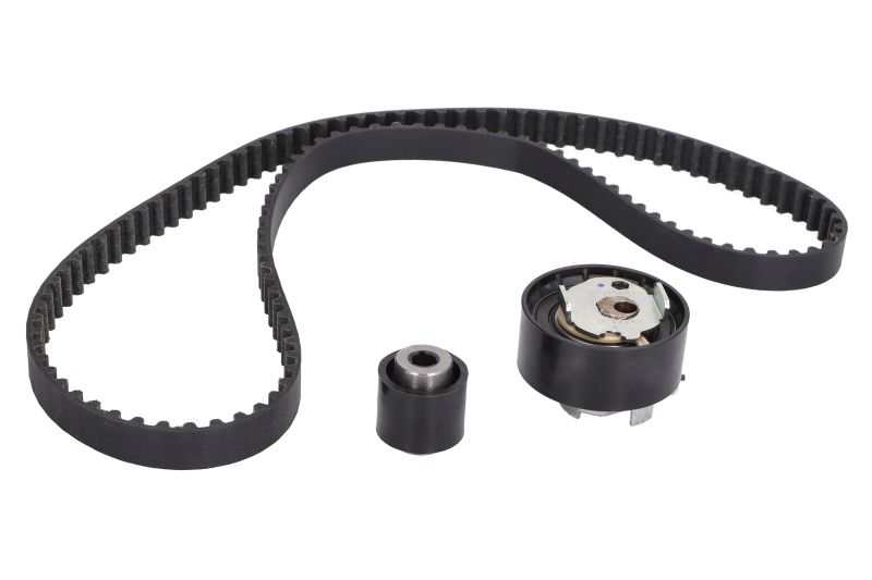 Timing Belts & Chains