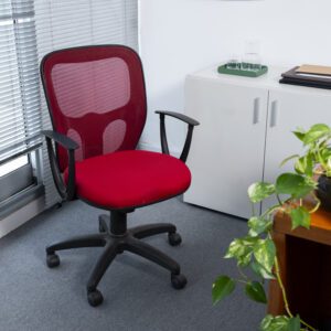 Ergonomic Chairs
