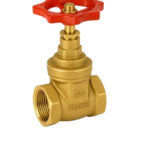 gate2-removebg-preview