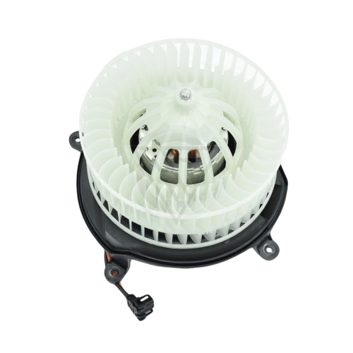 fri15-removebg-preview