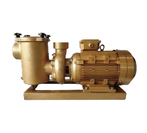 Commercial Pool Pump BP Series