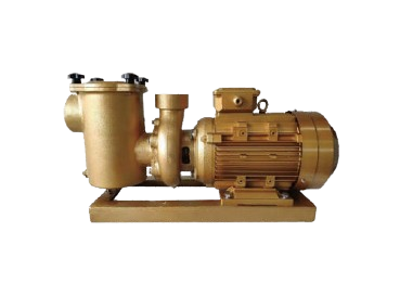 Commercial Pool Pump BP Series